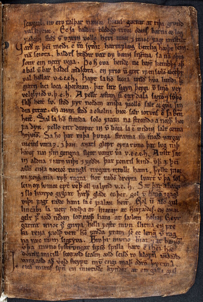 Une page du manuscrit médiéval Codex Regius.