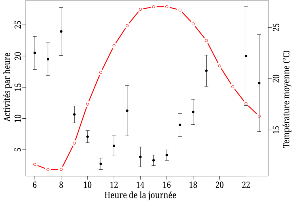 Graphique montrant l'évolution de la température et de l'activité des pikas en fonction de l'heure de la journée. Les deux paramètres ont une corrélation inverse : à la mi-journée, quand la température monte, l'activité baisse.