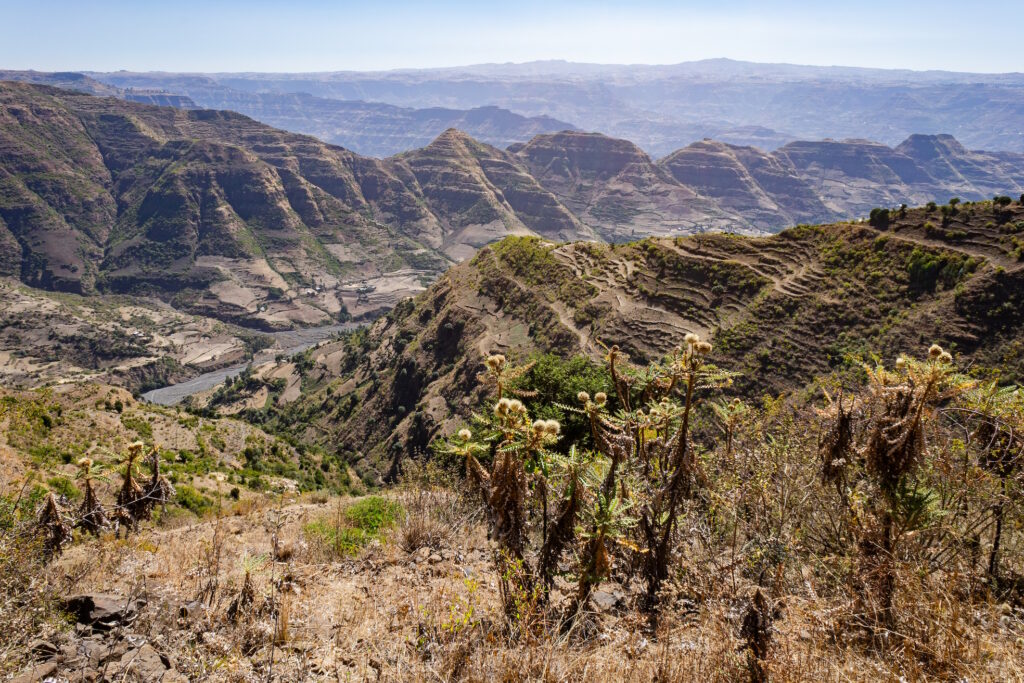 La vallée du Grand Rift africain à Sheno, en Éthiopie.