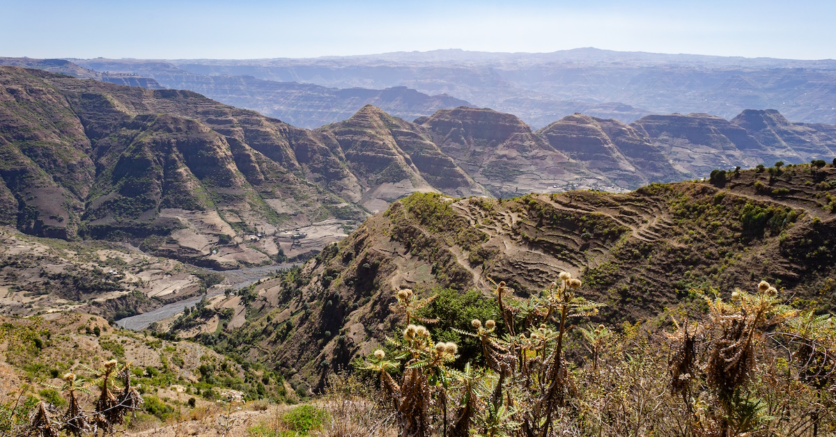 Le Grand Rift africain – À la confluence des temps